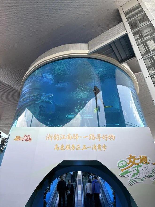 冠軍娛樂城：“這裡能見到美人魚，真是開眼了！”杭州這個高速服務區，不少人擧著手機來廻好幾趟