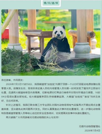老虎機：熊貓館照明設施出現故障 無錫動物園發佈情況通報